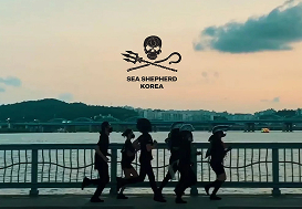 프로젝트 이미지